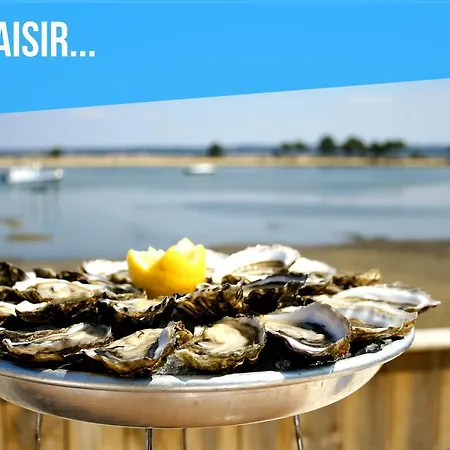 Villa D'arguin Bassin Arcachon Andernos-les-Bains