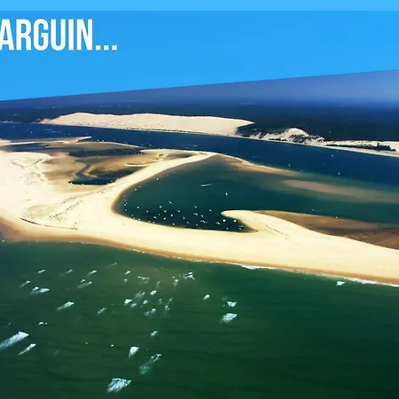 D'arguin Bassin Arcachon * Andernos-les-Bains